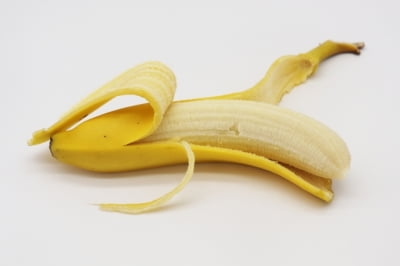 착 붙는 일본어 회화 : “바나나가 감기 걸린다”라고 하는 거야