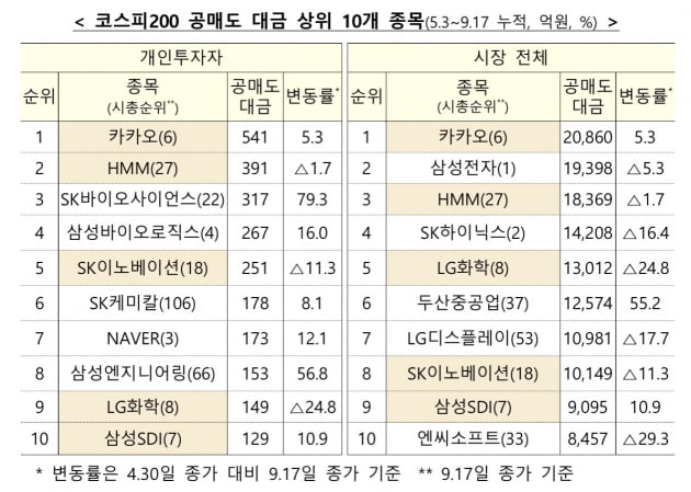 개인 투자자와 전체 매매주체가 각각 5월3일~9월17일에 거래한 공매도 거래 대금 상위 10개 종목 현황. /자료=금융위원회