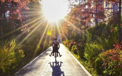 집코노미 박람회에 '아름다운 우리 아파트 사진 공모전' 작품 전시회 열어