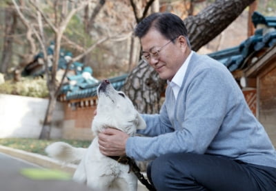 '애견인' 文 대통령 "개 식용 금지, 신중 검토할 때"