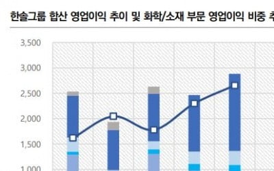 흔들림 없는 한솔그룹 신용도…향후 관건은 원자재 가격 [김은정의 기업워치]