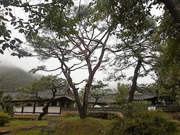 [이동고의 한옥고택] 한옥고택의 '발랄한' 진화