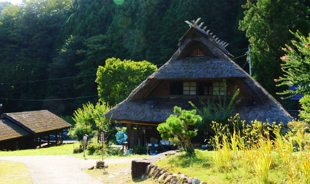 41채의 초가집이 있던 마을은 1966년 9월 태풍으로 인한 산사태로 37채가 유실 된 후 2006년 마을만들기의 일환으로 복원됐다. / JAPAN NOW