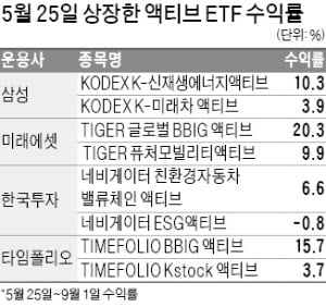 액티브 ETF, 'BBIG' 잘나가네