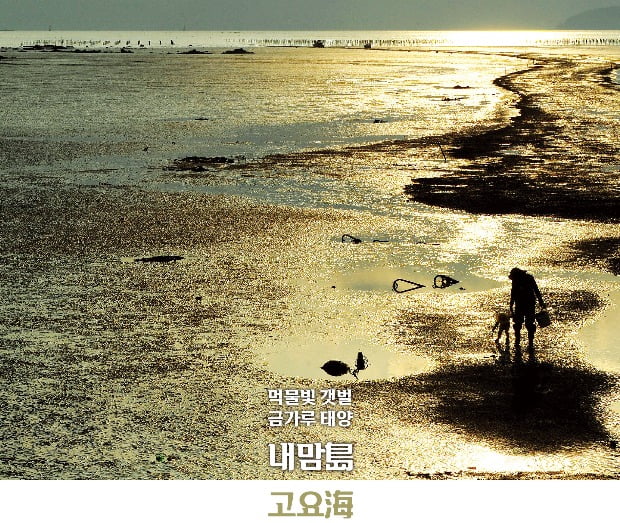 먹물빛 갯벌 금가루 태양…내맘島 고요海