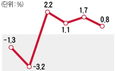 민간소비 힘입어 2분기 성장률 0.8%…실질 국민소득은 0.1% 증가 그쳐