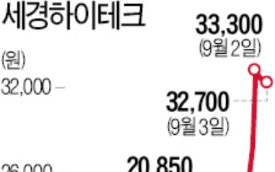 '2년 박스권' 세경하이테크, 폴더블폰 타고 56% 급등