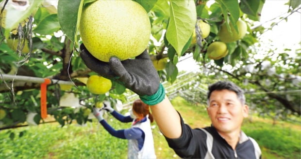 [포토] ‘슈퍼골드’ 배  