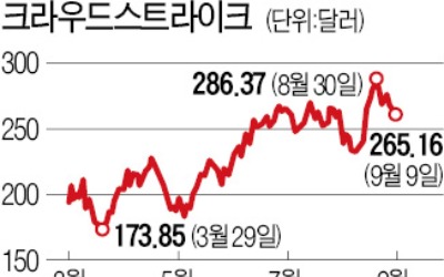 '美 사이버보안 수혜주' 크라우드스트라이크