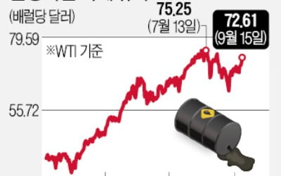 철강·원유·알루미늄株 급등…그린플레이션 온다