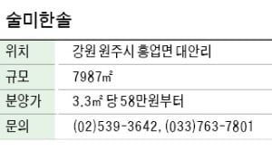 술미한솔, 원주 전원주택 부지…저수지 전망