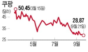 '겹악재' 쿠팡, 주가 어디로?