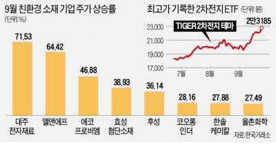 무섭게 뛴 배터리 소재株…대주전자·후성 본격 재평가