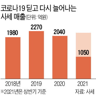 '홈술족'이 찍었다…'버팔로윙 제왕' 사세의 질주