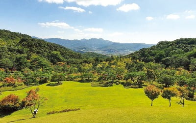 에버랜드, 맑은 하늘아래 시원한 숲 바람…올 가을 '포레스트 캠핑' 어때요?