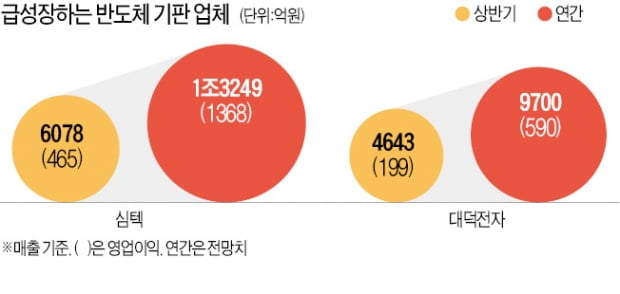 반도체 기판 호황…심텍·대덕전자 증설 붐