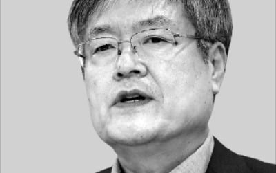 김해용 한·아세안센터 사무총장 "아세안 투자 늘리되 우수상품 수입 확대해야"