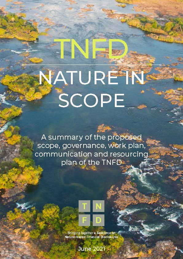 기후 변화 다음은 생물 다양성…‘TNFD’ 공식 출범