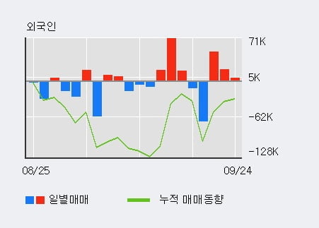 '새로닉스' 52주 신고가 경신, 전일 외국인 대량 순매수