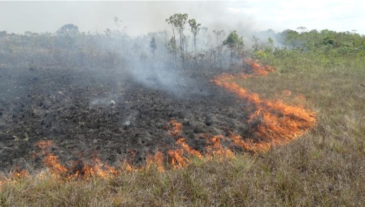 아마존서 지난달 화재 2만8천여건…8월 기준 역대 세 번째