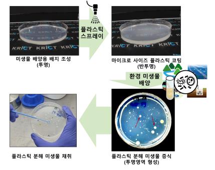 특정 플라스틱 분해 미생물 1주일 내 찾는다…화학연 키트 개발