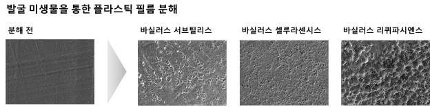 특정 플라스틱 분해 미생물 1주일 내 찾는다…화학연 키트 개발