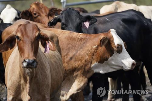 지구 덥게 만드는 온실가스 3분의 1은 먹거리 생산 농업서 나와