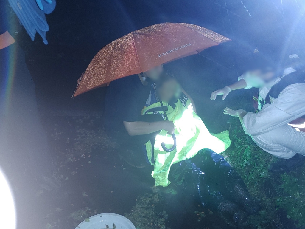 비자나무 열매만 보고 사라진 70대 할머니 구조한 경찰