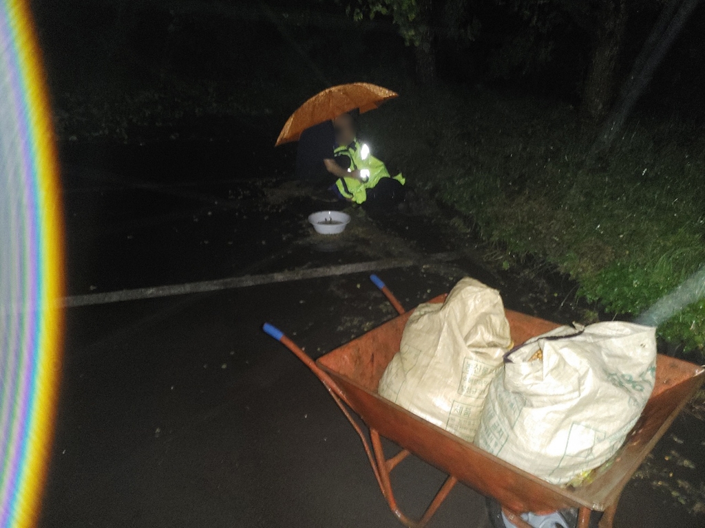 비자나무 열매만 보고 사라진 70대 할머니 구조한 경찰