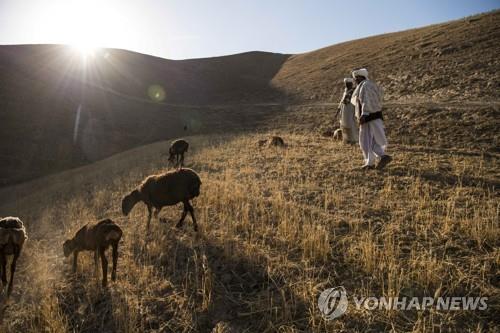 도시로 간 탈레반에 평화 찾은 아프간 시골…폭력·분쟁 사라져