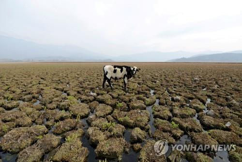 "글로벌 상장사 70% 이상, 회계에 기후위험 충분히 반영안해"