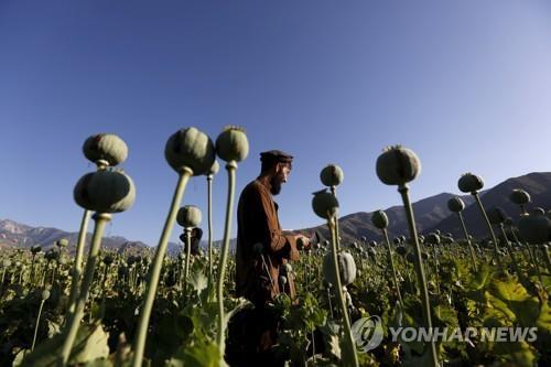 탈레반, 마약 금지라더니…인도서 3조원대 아프간산 헤로인 압수