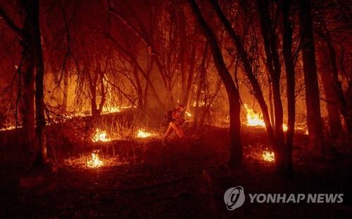 미 캘리포니아 당국, 산불 방화 혐의로 30대 여성 체포