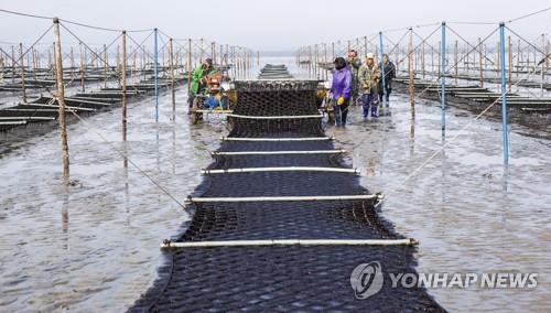 해수부 "김 가공업체에 에너지절감시설 지원해 전기료 51% 줄여"