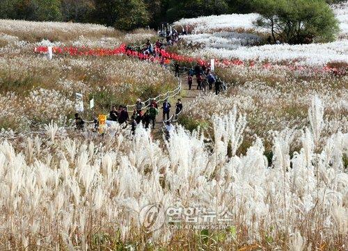 코로나19에 경기북부 대표 가을축제 취소 또는 축소