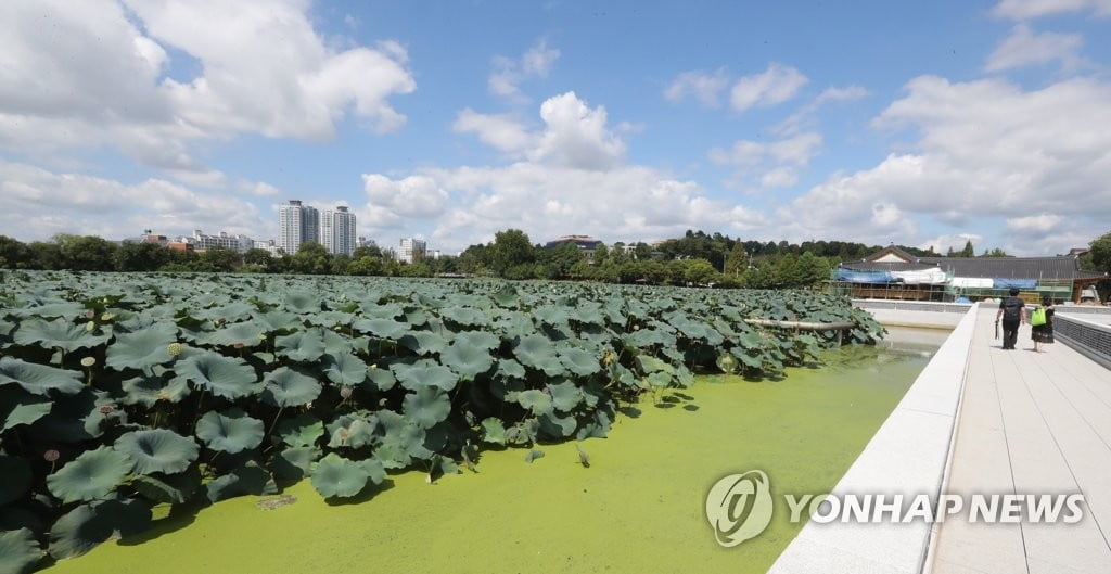 쾌청한 초가을 날씨…남부 한낮 30도 이상