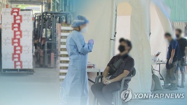 가락시장 집단감염 하루만에 42명↑…누적 341명