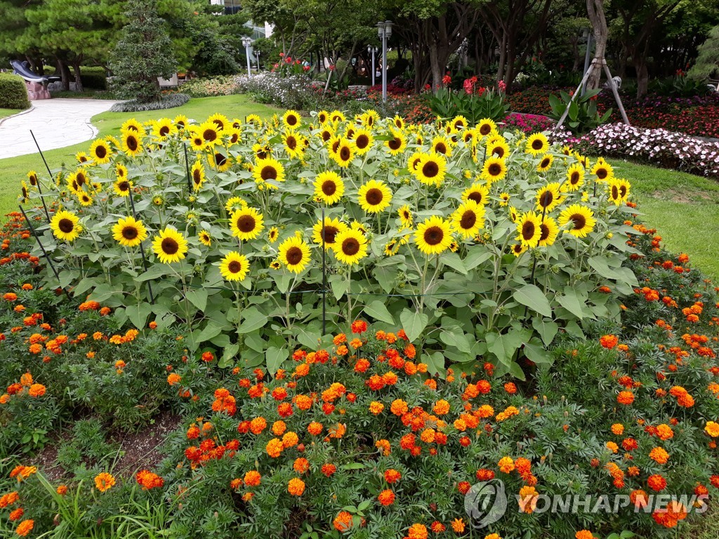 전남 정원 페스티벌 16일 개막…남악신도시서 19일까지