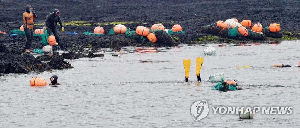 미 해군이 제주 해녀 연구한다…"저체온증 어떻게 막나요?"