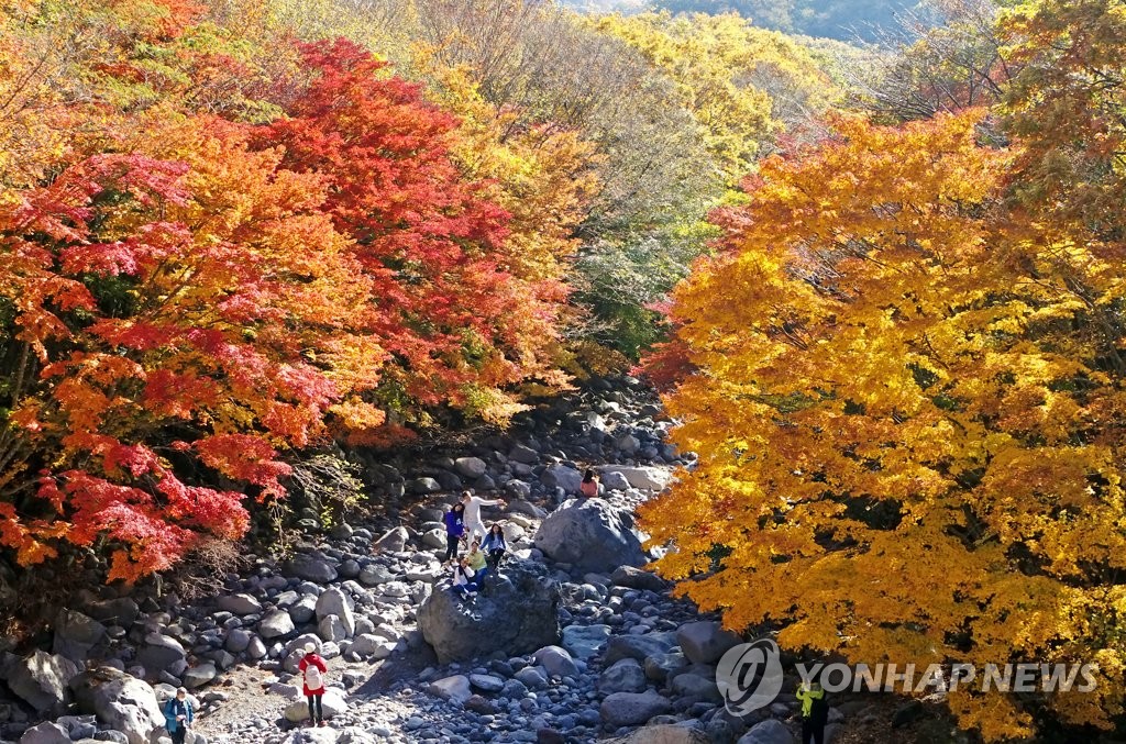 가을 제주 여행 계획 10명 중 3명 '9월 후반이 좋다'