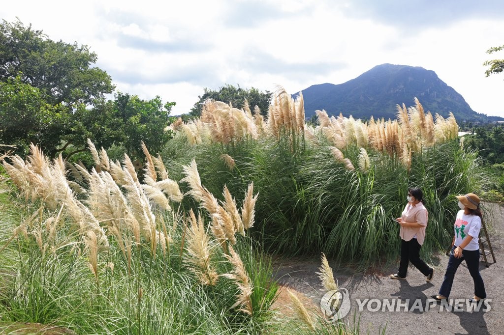 가을 제주 여행 계획 10명 중 3명 '9월 후반이 좋다'