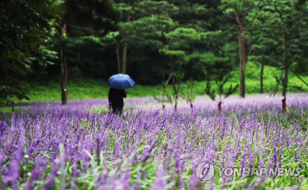 오늘밤까지 경남권 동부 강한 비…내일 낮에도 선선한 날씨