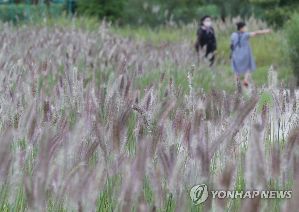 '완연한 가을' 전국 명소 북적…벌초·성묘객 발길도