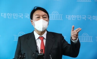 김남국 "윤석열보다 제소자 말이 신뢰 간다"