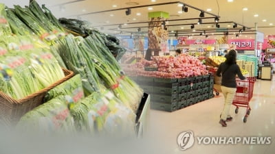 [2보] 8월 소비자물가 2.6% 올라 두달째 연중최고치…달걀 54.6%↑