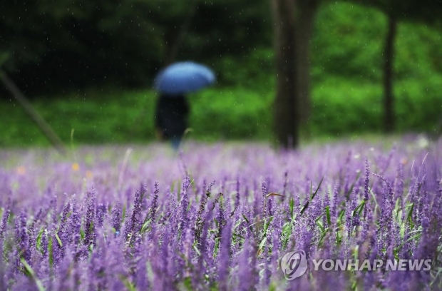 전국 흐리고 곳곳 비…낮 최고 27도