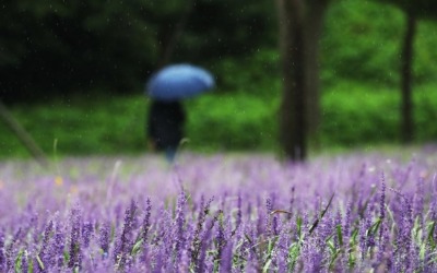 전국 흐리고 곳곳 비…낮 최고 27도