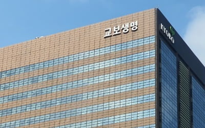 신창재 교보생명 회장, 풋옵션 매수부담 덜어…계약은 유효(종합)