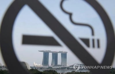 "부자들에겐 공손히 말해야지" '갑질' 싱가포르 여성 2명 벌금형