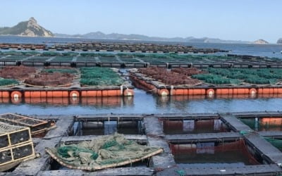 태풍 '찬투' 북상 대비 남해안 양식장 사전관리 당부